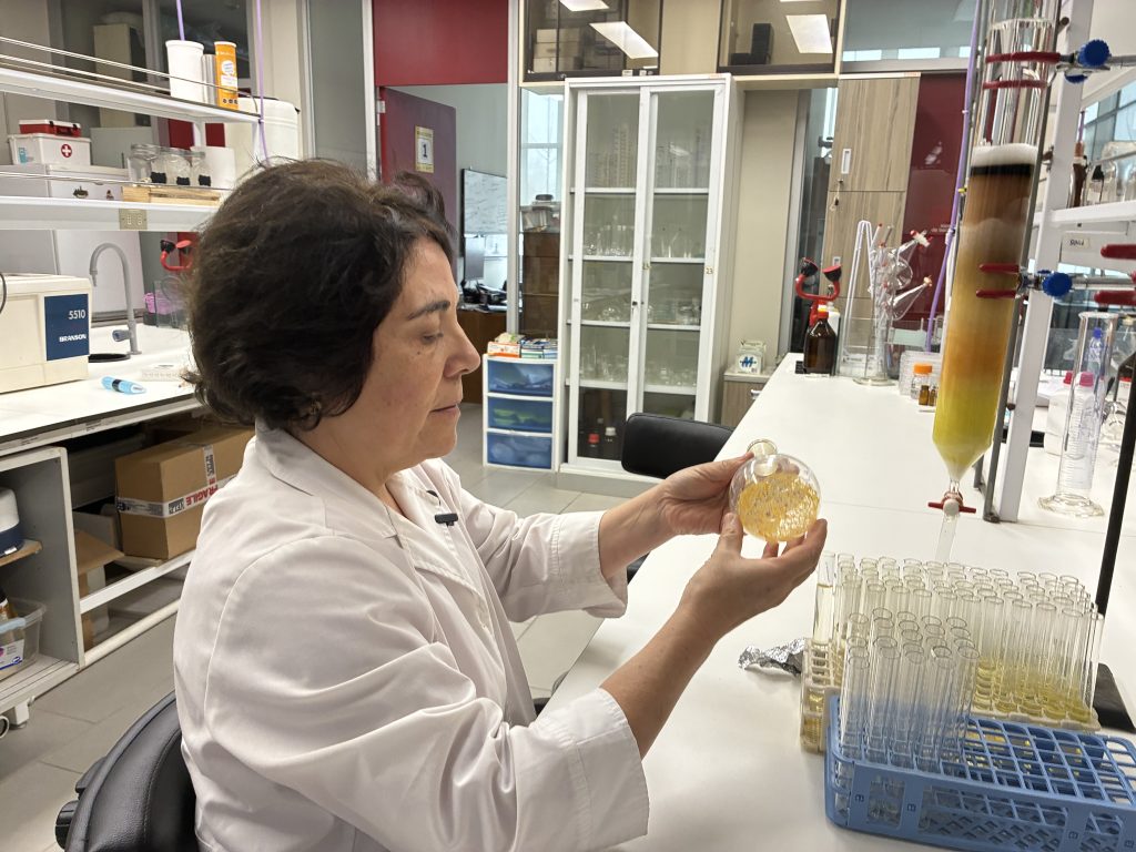 Dra. Margarita Gutiérrez desarrolla investigación financiada por ANID CHILE enfocada en la enfermedad Alzheimer